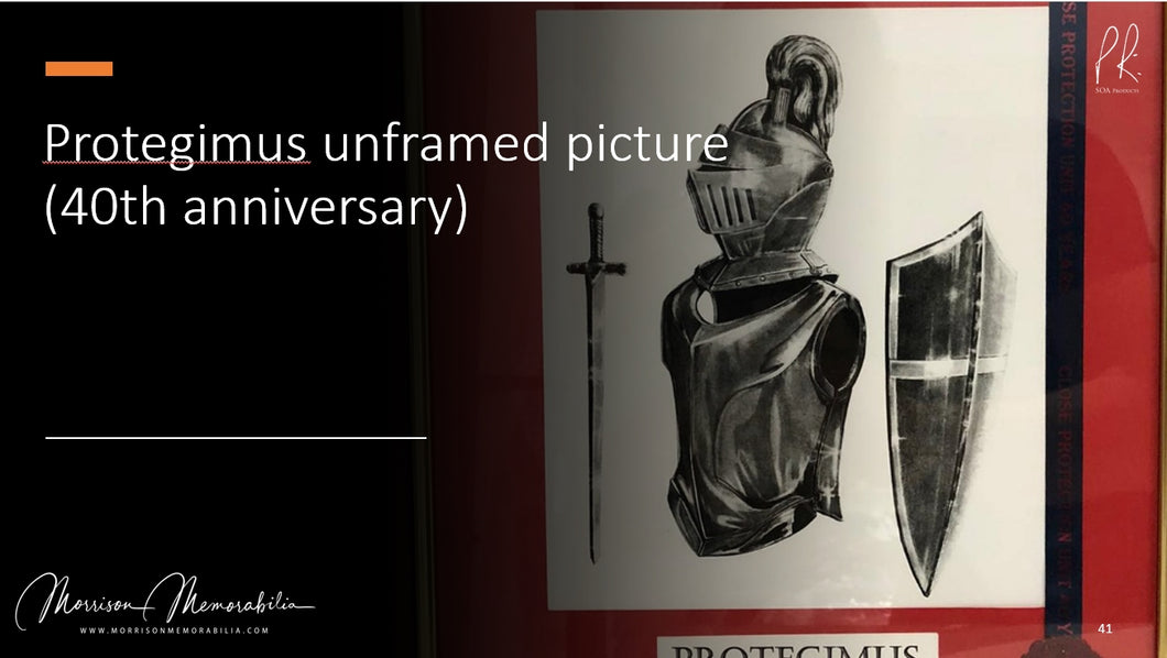 Protegimus 40th Anniversary print (Unframed)