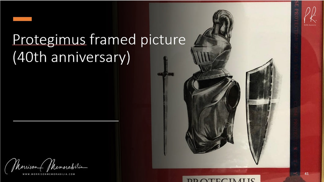 Protegimus 40th Anniversary print (Framed)