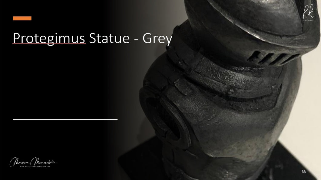 Protegimus Statue - Grey