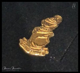 Protegimus lapel pin (Gold)