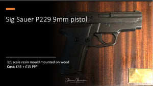 Sig Sauer P229 9mm pistol
