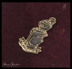 Protegimus lapel pin (Gold and Grey)